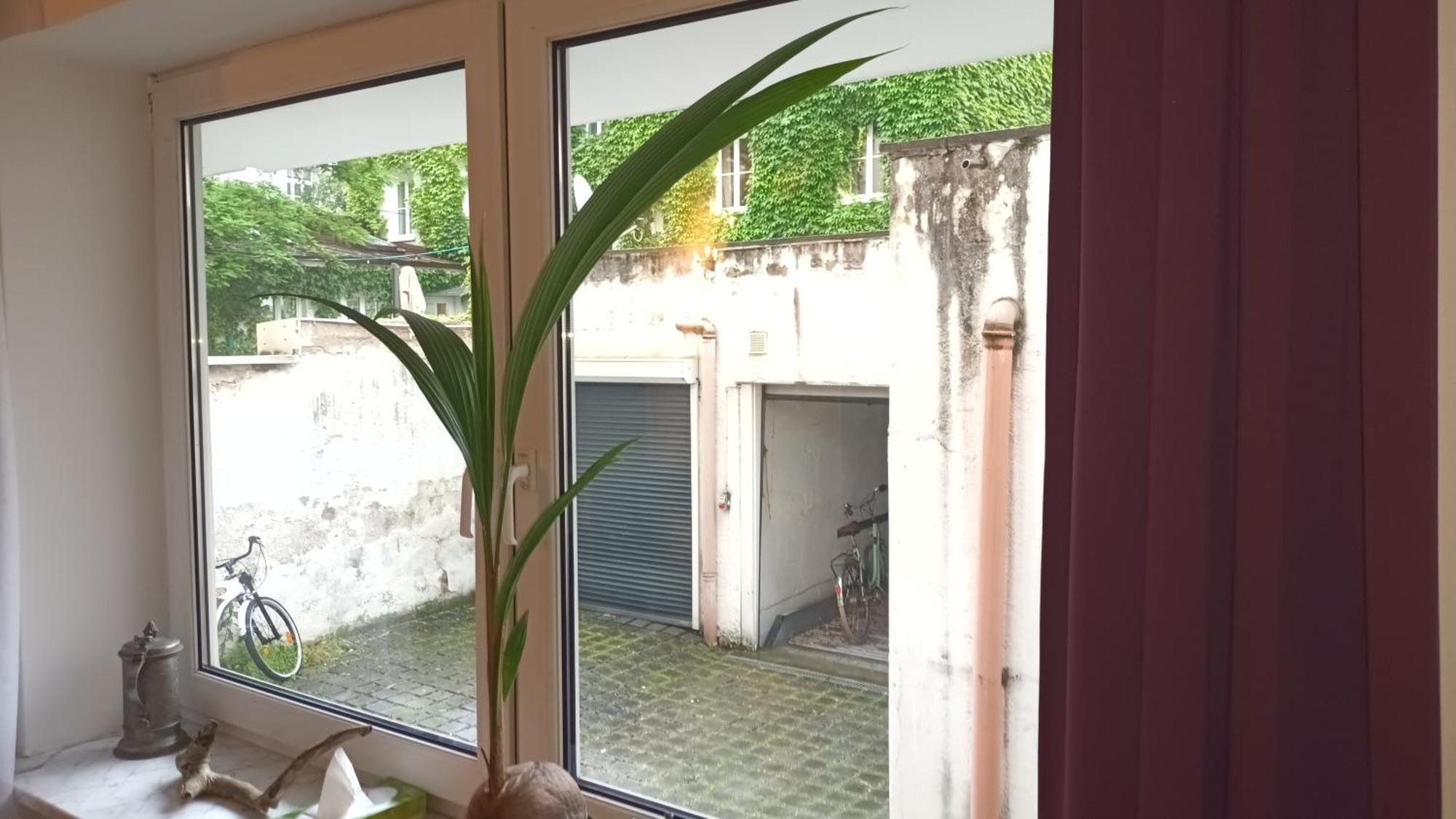 Stilvolles Appartement Im Zentralen Schwabing - Innenstadt Münih Dış mekan fotoğraf